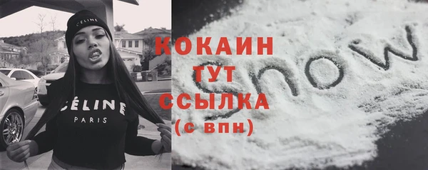 крисы Бородино