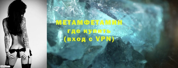 крисы Бородино