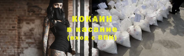 крисы Бородино