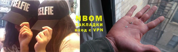 крисы Бородино