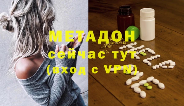 крисы Бородино