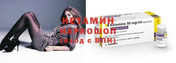 крисы Бородино