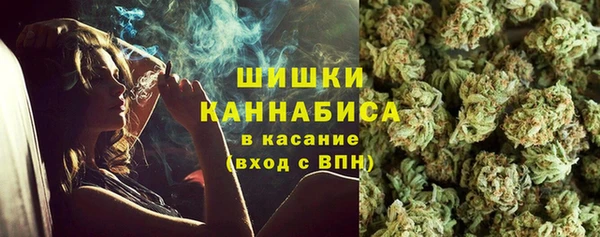 крисы Бородино