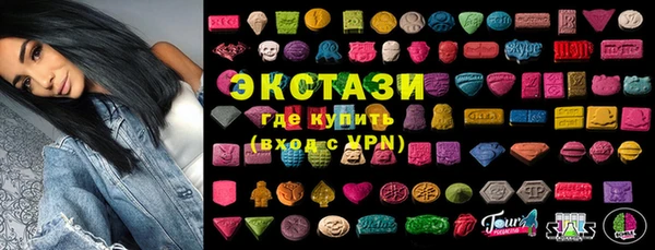 крисы Бородино