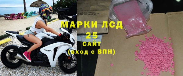 крисы Бородино