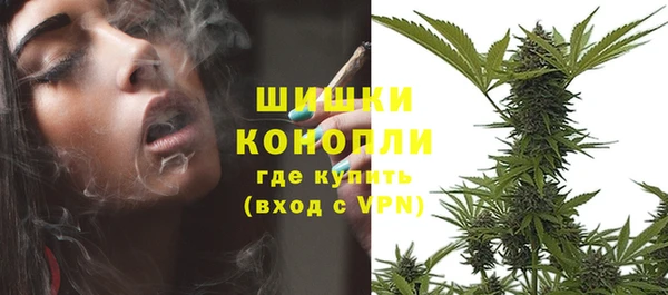 трава Бронницы