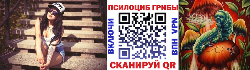 Галлюциногенные грибы Cubensis  Белоусово 